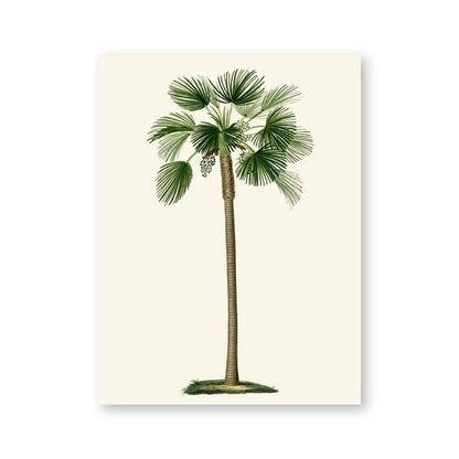 Tropical Palm Tree Prints